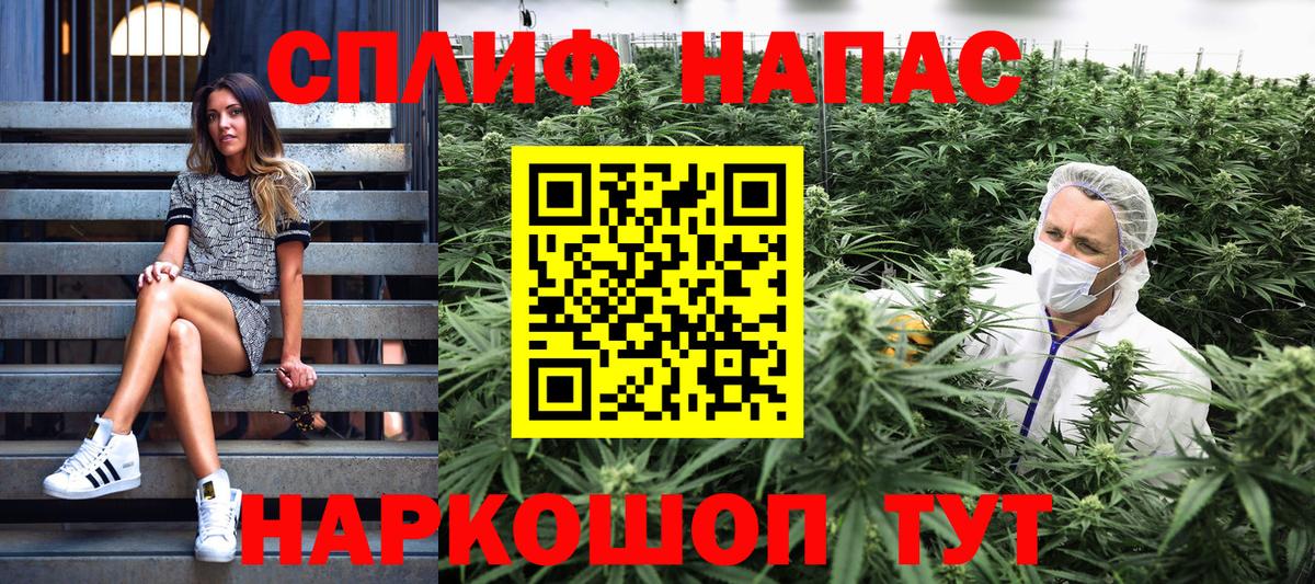 Конопля план  Конопля марихуана  Сосновый Бор  Вход с VPN  Бошки Шишки MAZAR  МАРИХУАНА SATIVA & INDICA 
